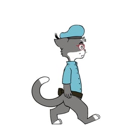 Robin Walk (animiert)