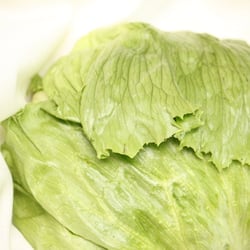 Eisbergsalat Nov. 2012