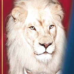 Williams-Cover für Programmheft