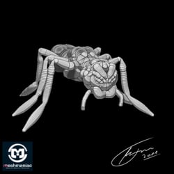 Ant Zsketch