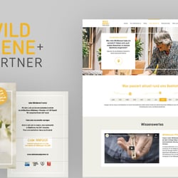 Responsive Website