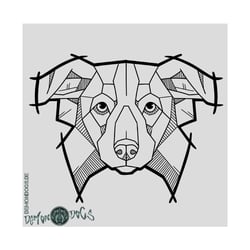 Splitterhunde – Border Collie – Shop Design – DemonDogs