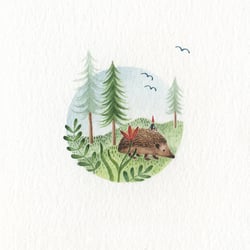 forest