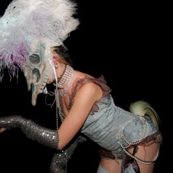 Freak Show Horse
