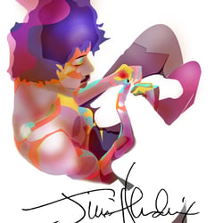 Jimi Marshall Hendrix