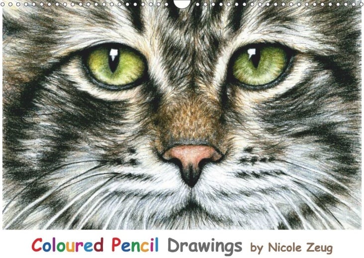 Coloured Pencil Drawings by Nicole Zeug