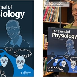 Nobelpreisträger Prof. S. Pääbo mit meiner Coverillustration für J PHYSIOL