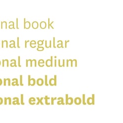 Igiip Typografie
