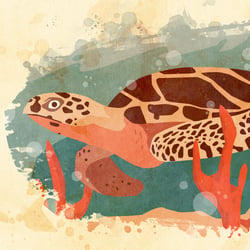 Turtle