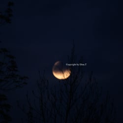 Moon Mai 2014 © by Dina.T