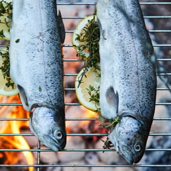 Marius Prions Photo FOOD / Fisch, Forellen, Kräuter, Zitrone, Grill, Flammen