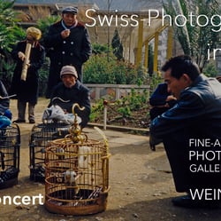 early bird concert