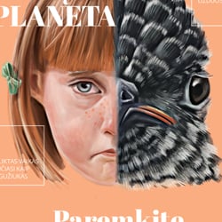 Digital Illustration