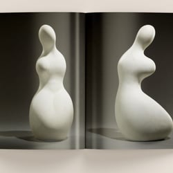 Aus KUNST SEHEN, Band 18: Hans Arp