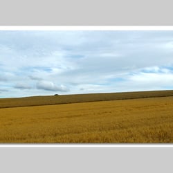 Fotografie-Natur