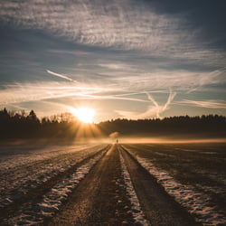 The golden hour, Graltshausen Thurgau