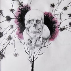 Skulls In The Air