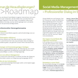 Social Media Management in mittelständischen Unternehmen8