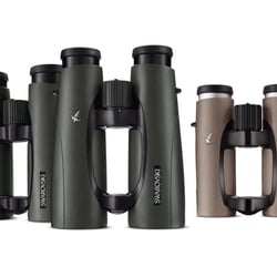 Optik1