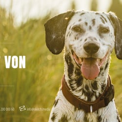 Gutschein Tierfotografie 1