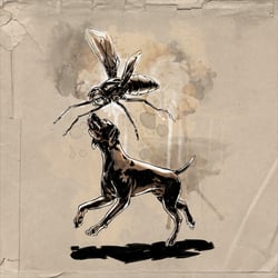 The Fly