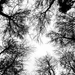 www.danneffel.de 2009 121