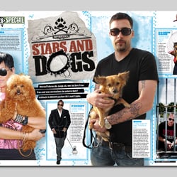 Stars & Dogs