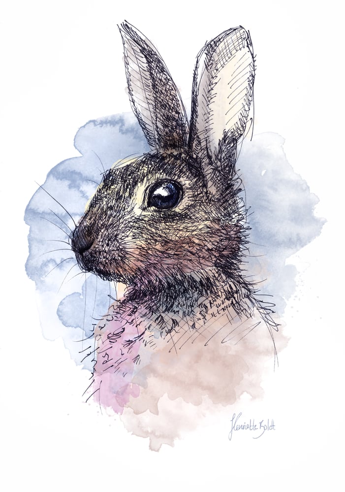 Bunny