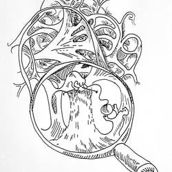 Fascia / Faszien Bobs