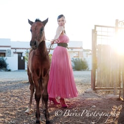 Bevis Photography