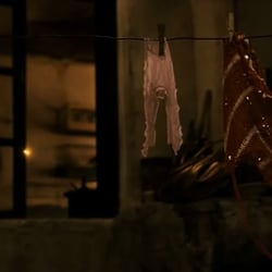 „IF THE SEED DOESNT DIE“ – the transaction