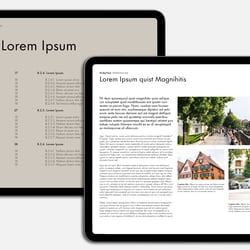 Editorial Design – Infografiken