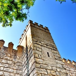 Alcazar Sevilla II