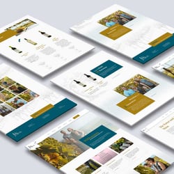 Zusammenarbeit beim Webdesign und bei der Umsetzung für die Weinmacherei Fritz (ein Kunde der Agentur)