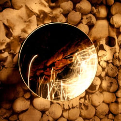 Spiegelbild