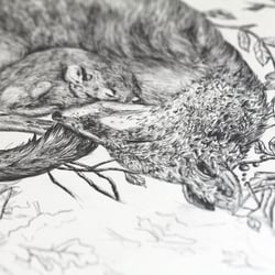 Fox & mouse, Bleistiftillustration