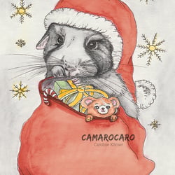 Chinchilla als Weihnachtsmann