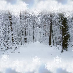 Winterlandschaft