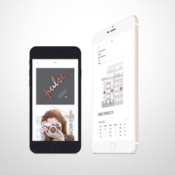 portfolio-website-pulse-2