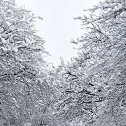 Winter-Impression-III