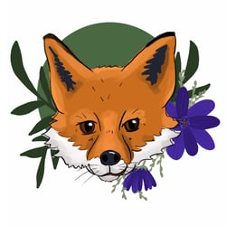 Fuchs