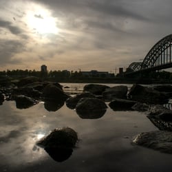 Der Rhein an den Poller Wiesen in Köln