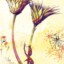Buch Illustration