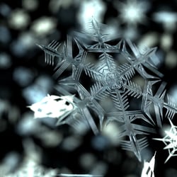 Snowflake //first test