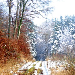www.danneffel.de 2009 117