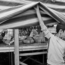 Festivals in Sicily