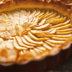 Food – Meine Weinlese in Frankreich