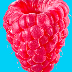 Raspberry