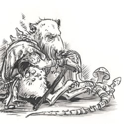 Alte Ratte