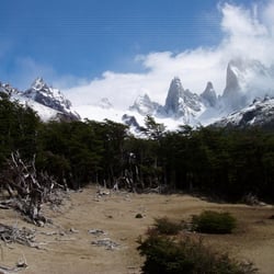 FitzRoy